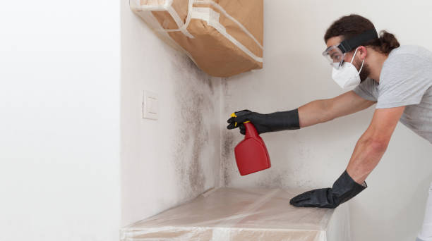 Professional Mold Removal technician working in Efland, NC