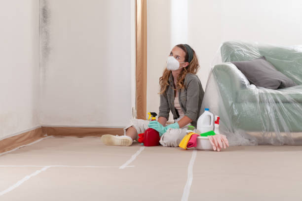 Reliable Mold Removal contractor in Efland, NC by 24 Hour Mold Removal